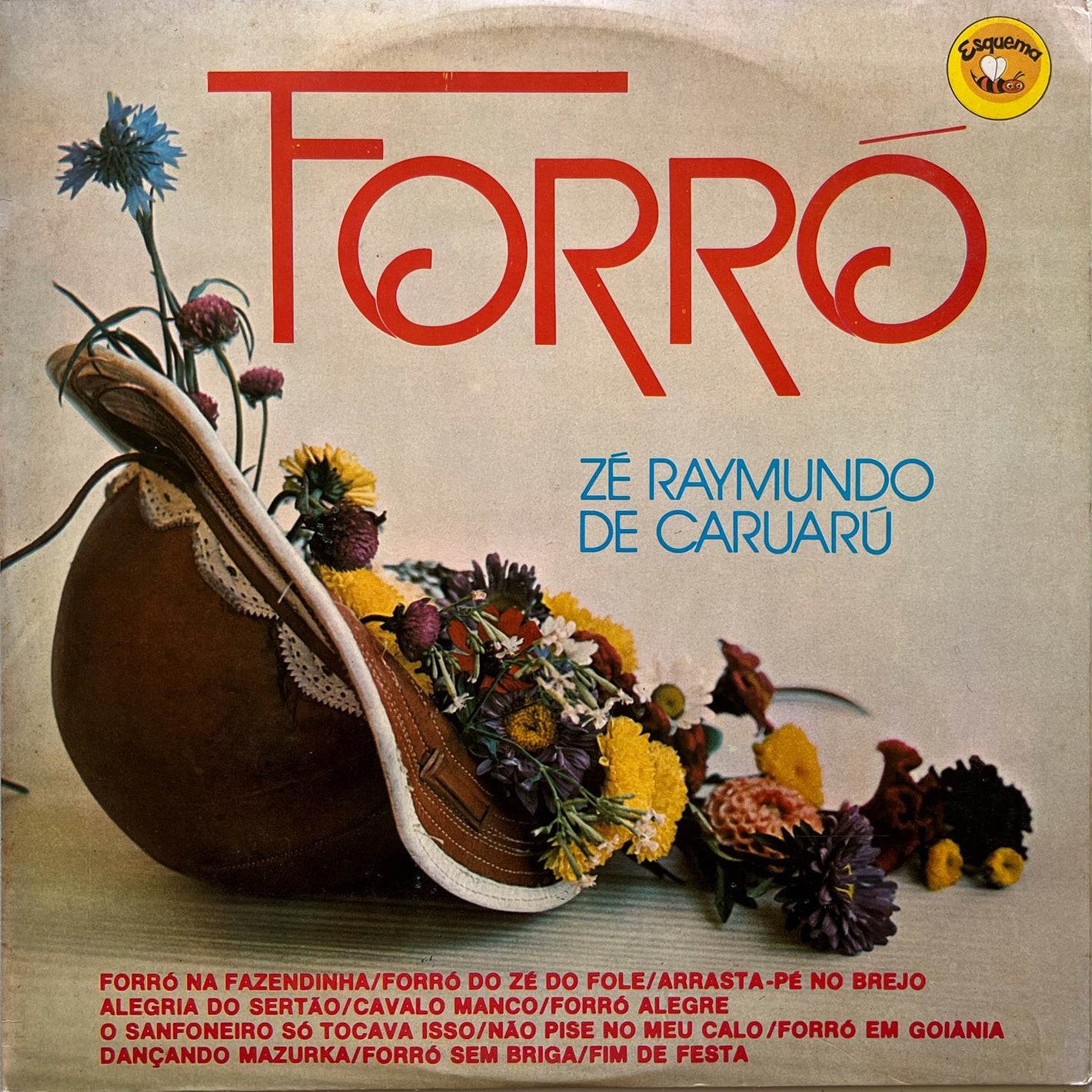 Zé Raymundo de Caruarú - Forró (LP)