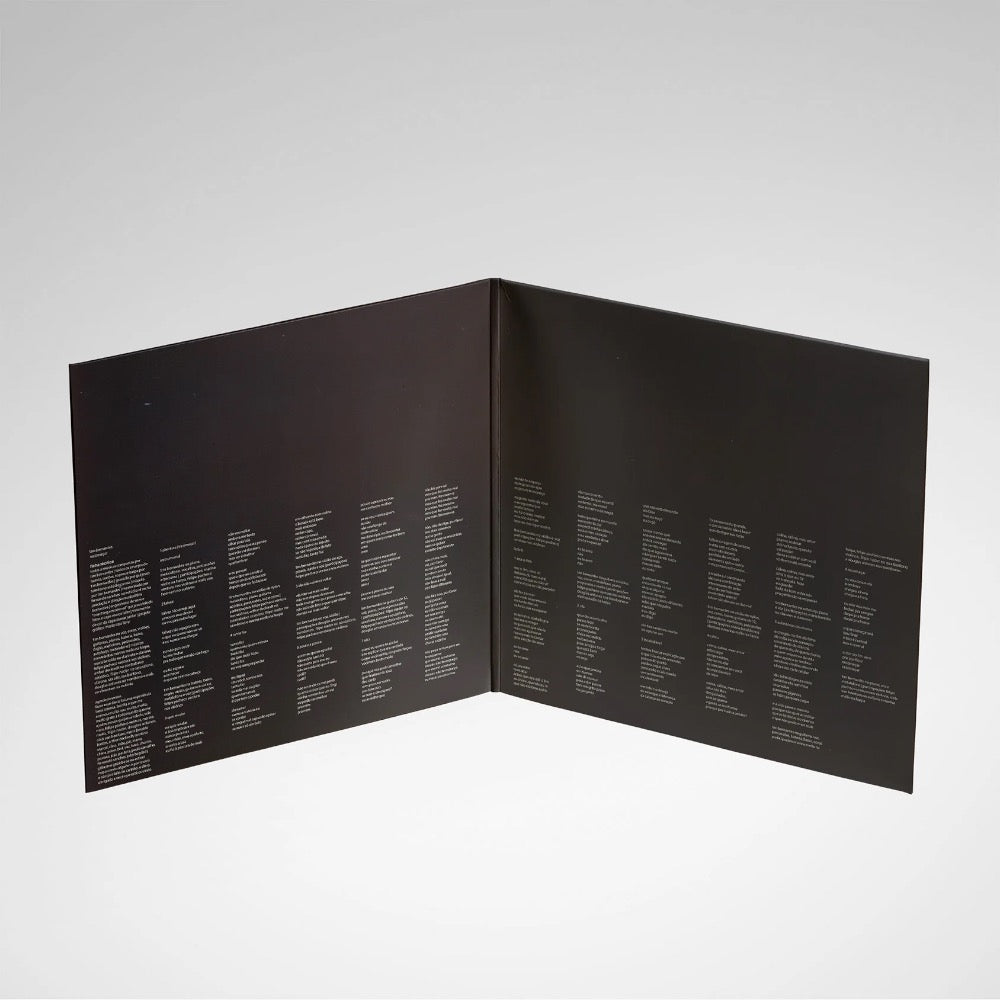 Tim Bernardes Recomeçar Vinil LP