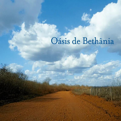 Maria Bethânia — Oásis de Bethânia (LP Vinyl Record, sealed)